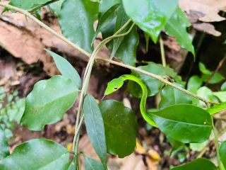 CITY NATURE CHALLENGE — image 1
