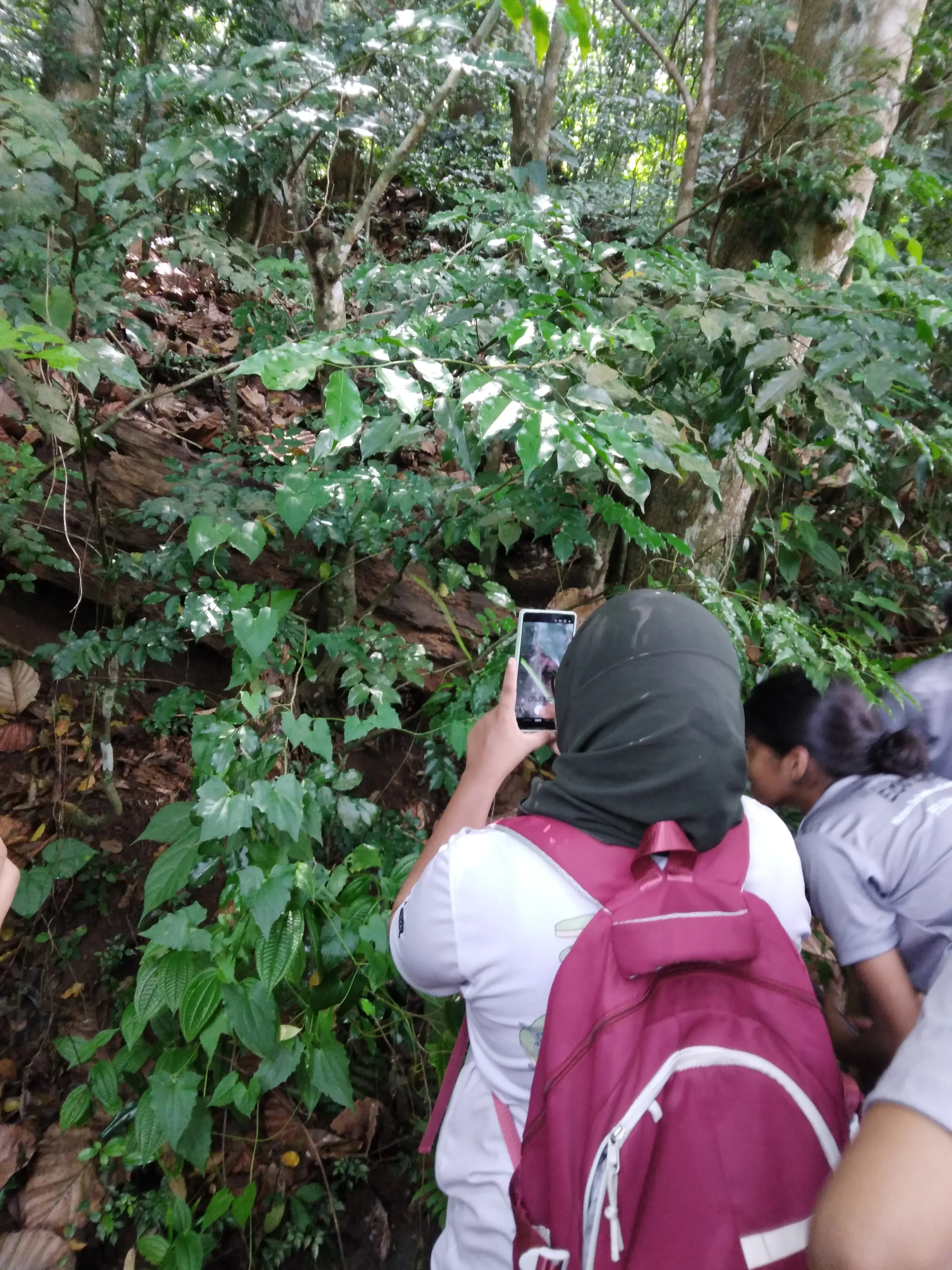 CITY NATURE CHALLENGE Gallery 3