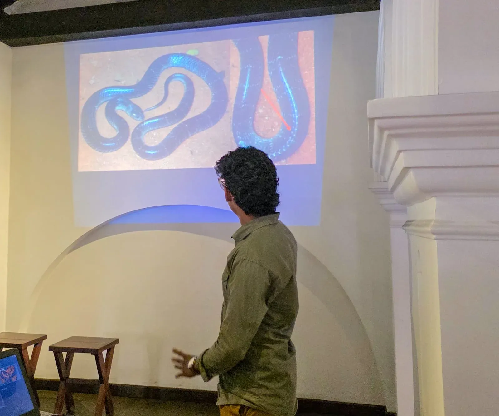 SLITHER Gallery 3