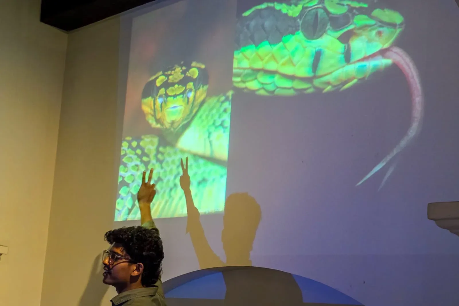 SLITHER Gallery 4