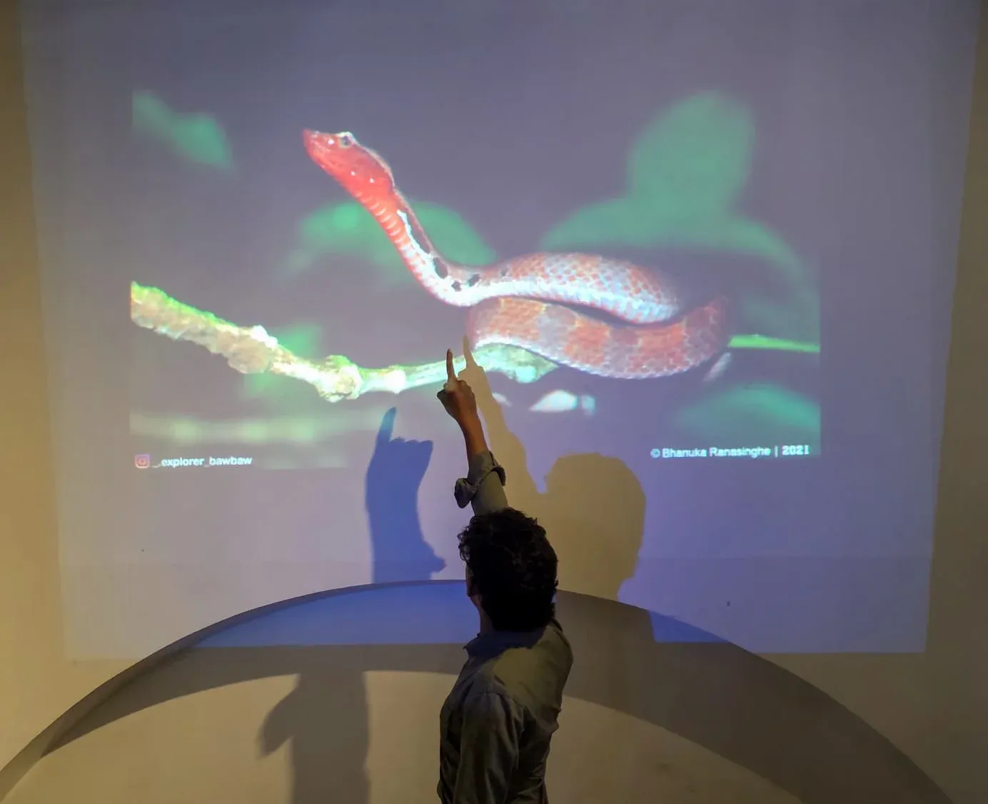 SLITHER Gallery 8