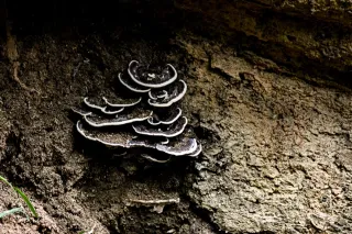 SLITHER — image 9
