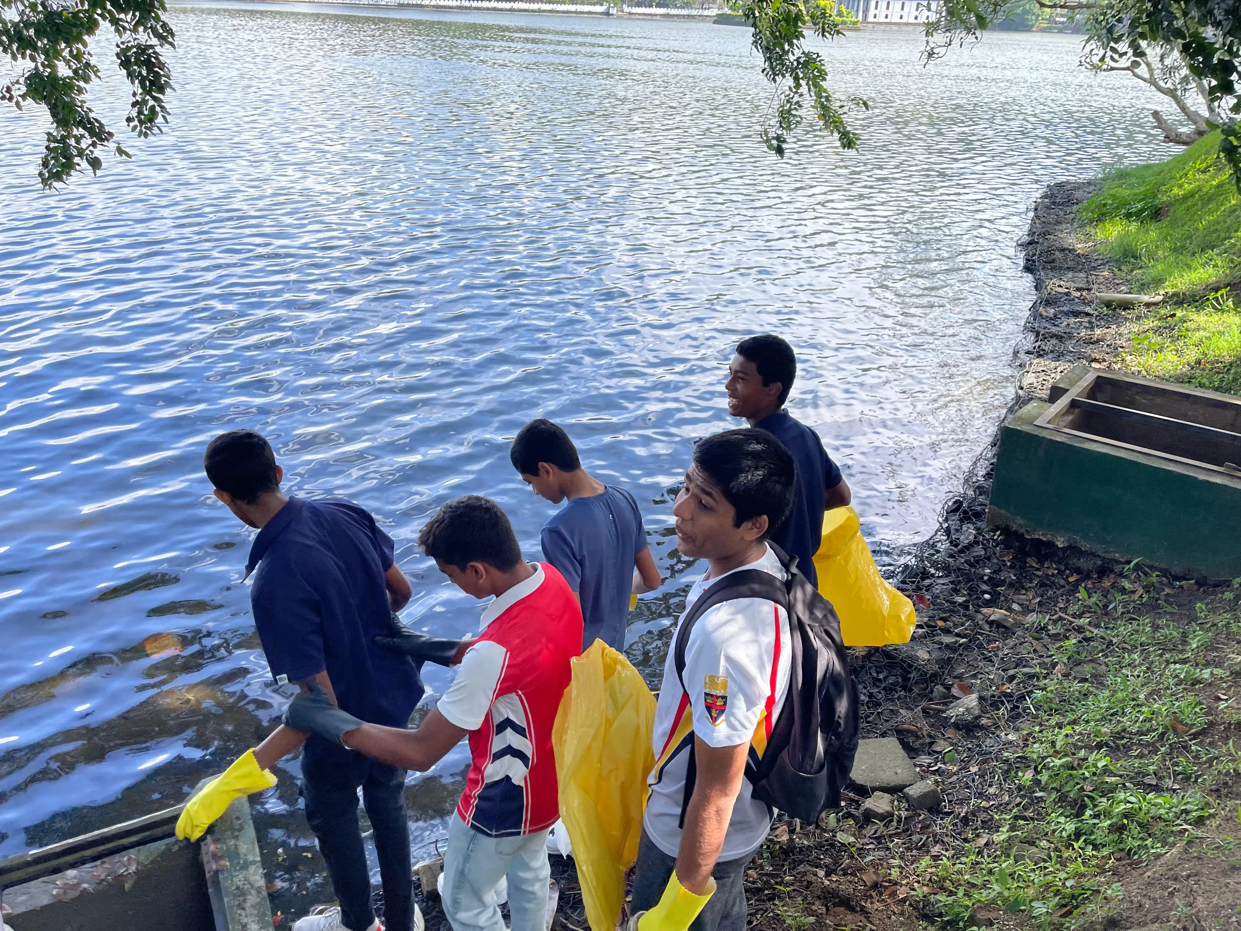 CLEANUP SL Gallery 6