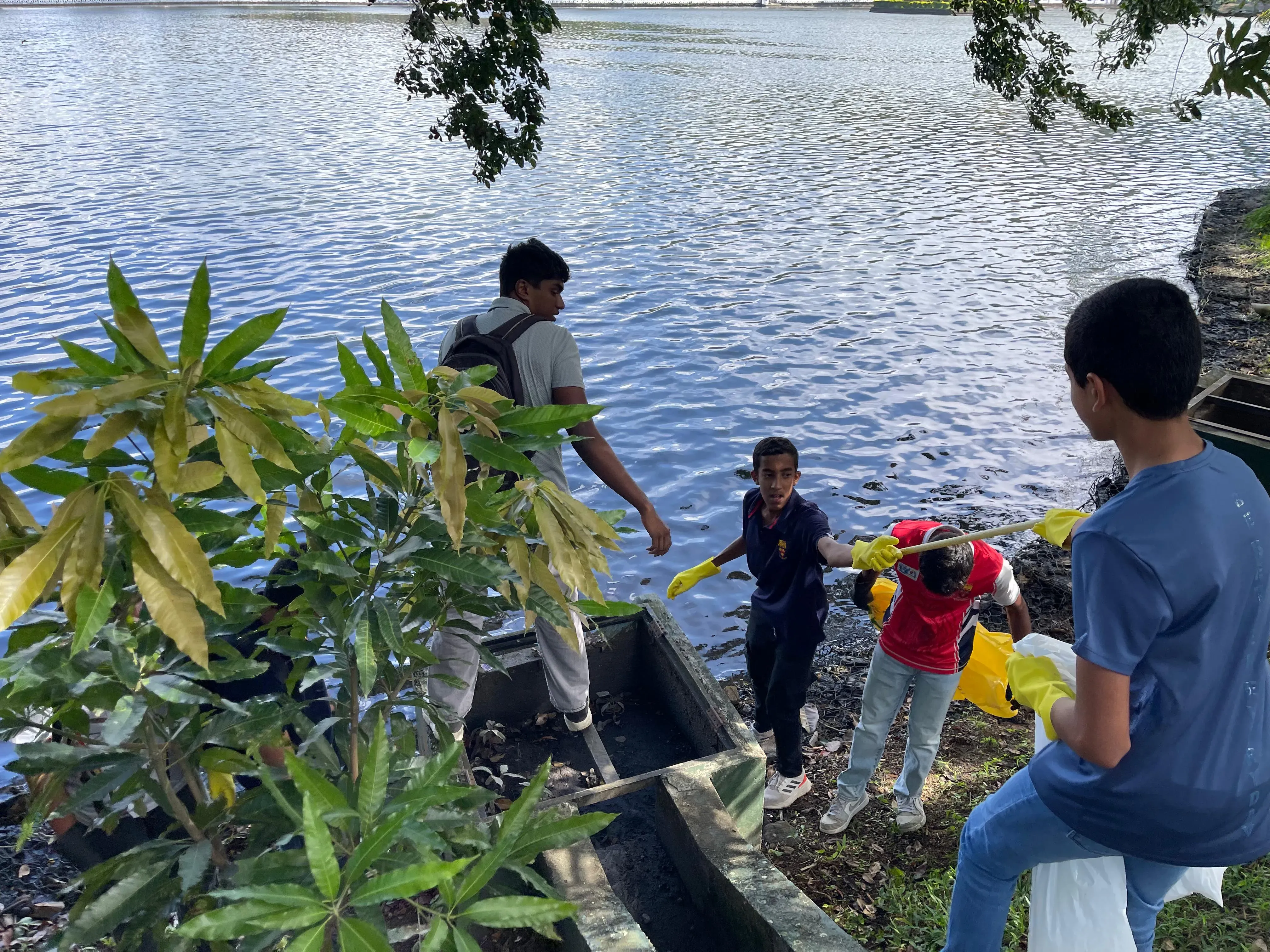 CLEANUP SL Gallery 7